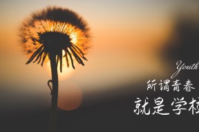 KAIYUN 中国大陆-卡萨斯决赛表现赢得教练高度评价,累卡萨斯
