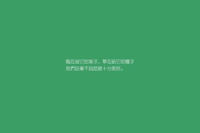 开云官网APP下载-塞尔维亚篮球战术调整受关注，塞尔维亚的篮球