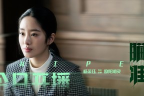 KAIYUNAPP-汉堡遭遇两连败，保级阵营步入关键战，汉堡近期战绩