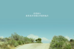 开云中国大陆-欧洲杯全场精彩:破门、助攻、扑救一应俱全!,欧洲杯t