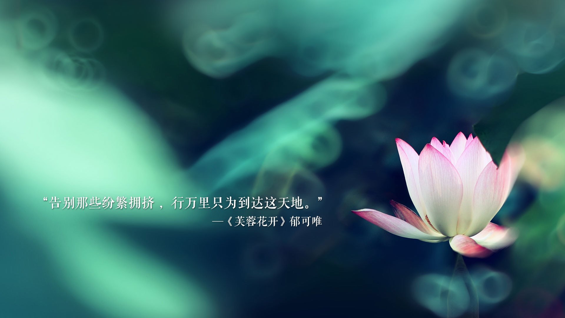 逆境中的领袖：球队在危机中的扭转战略，nba顺境逆境绝境