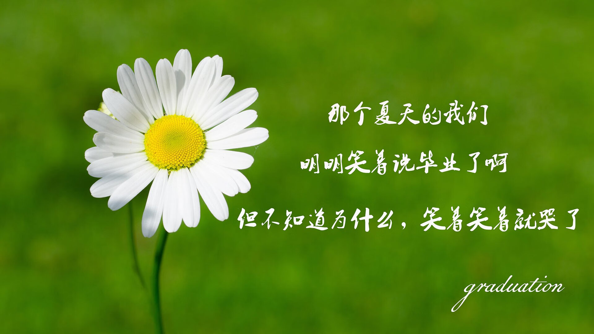 五大联赛替补出场球员射门转化率是否高于首发，射门转化率最高的球员