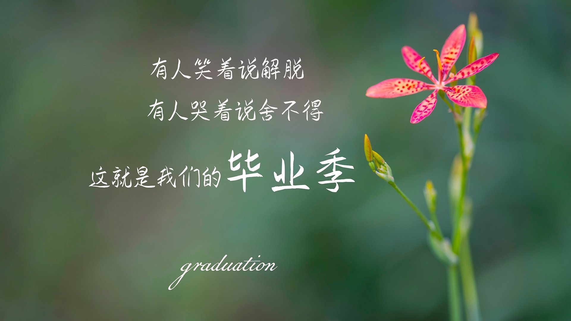 蝶泳划频数据揭示节奏之争,蝶泳划水动作