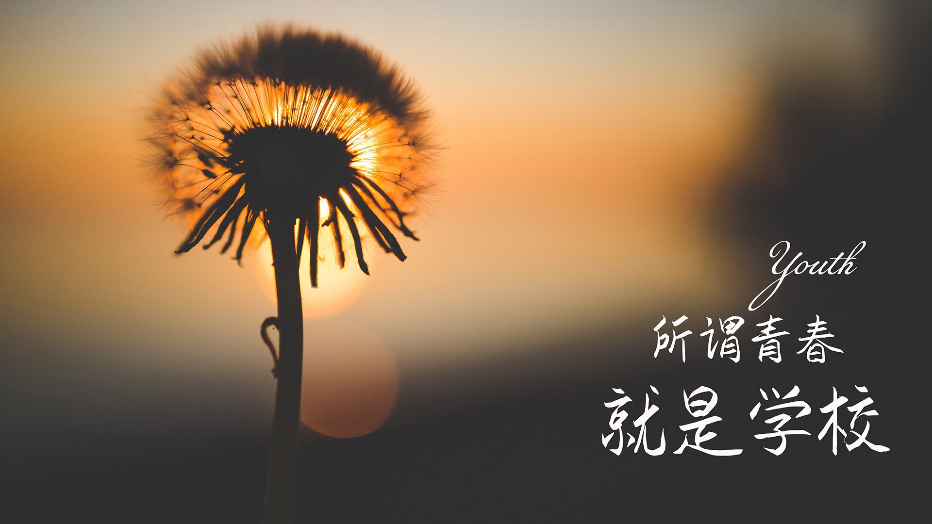 卡萨斯决赛表现赢得教练高度评价,累卡萨斯